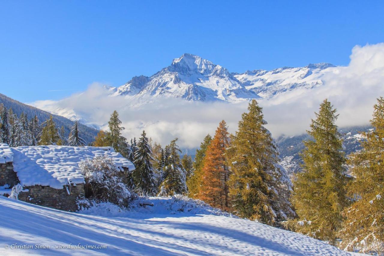 Les Balcons Proche Parc National Vanoise Appartements 2 Pieces 6 Pers Montagne Superieur Termignon Ngoại thất bức ảnh
